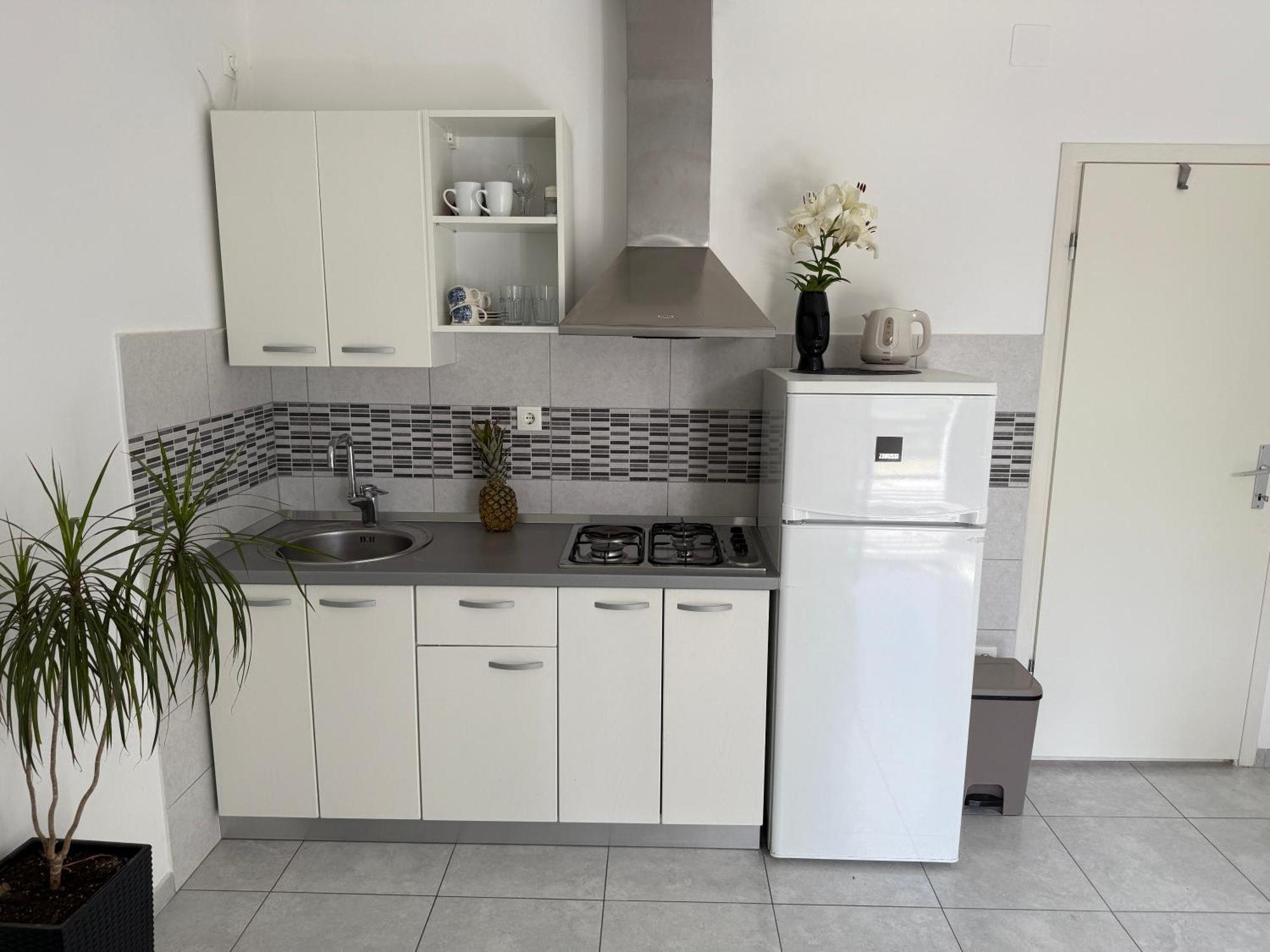 Apartmani Stambuk Jelsa  Esterno foto